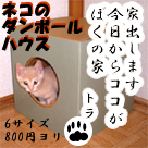 �u�l�R�̃_���{�[���n�E�X�v�̂������͂����炩��