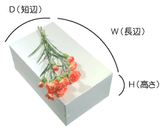 ブライトBOXのW(長辺)×D(短辺)×H(高さ)の図
