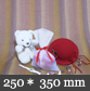 �s�D�z�̑܁@250*350mm
