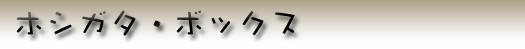 �z�V�K�^�E�{�b�N�X