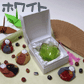 �T�e���\�蔠�^�z���C�g