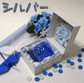 �T�e���\�蔠�^�V���o�[
