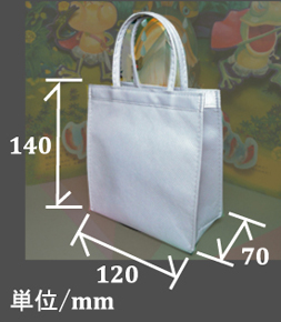 �v�`�g�[�g�o�b�O�E�V�b�N�^�C�v�@���@�}