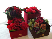 ���{�^Mum Takashi�@�l