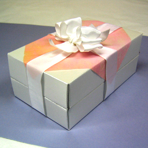 BrightBOX���g�������b�s���O�E���C���[�����{��