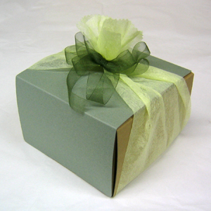 SquareBOX���g�������b�s���O�E�I�[�K���W�[���{��