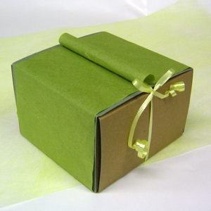 SquareBOX���g�������b�s���O�E�J�[�����O���{��
