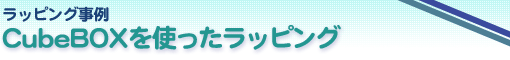 ���b�s���O����@CubeBOX���g�������b�s���O
